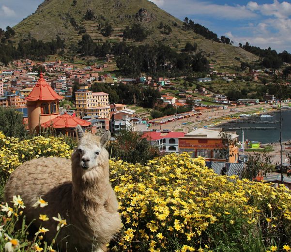 Copacabana, Titicaca Lake and Sun Island – Tour 3 days