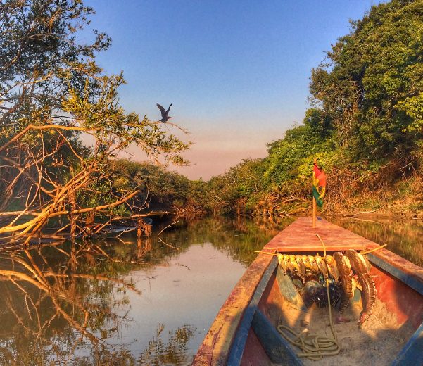 Ecolodge: Tour Pampas, Delfín Rosado y la asombrosa Anaconda