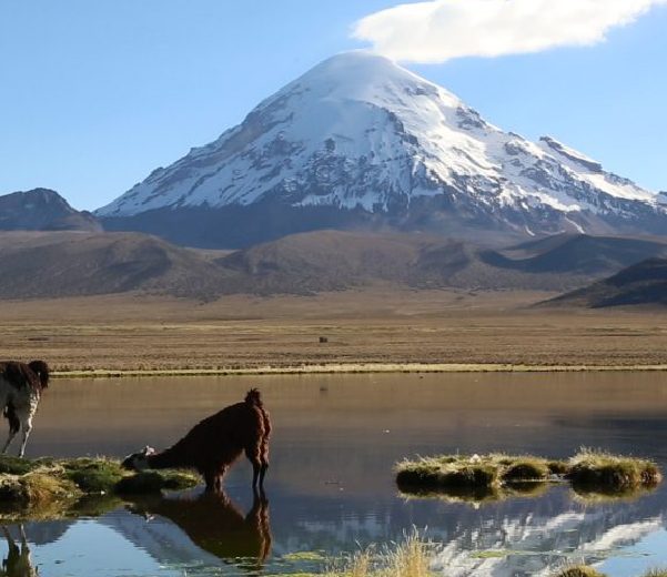 Oruro, Senderismo en Sajama